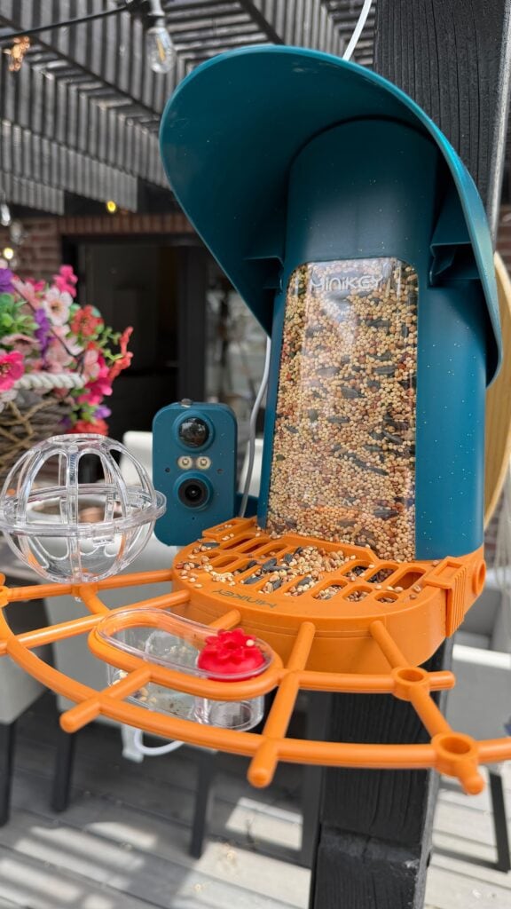 bird feeder camera michelle bird feeder camera michelle