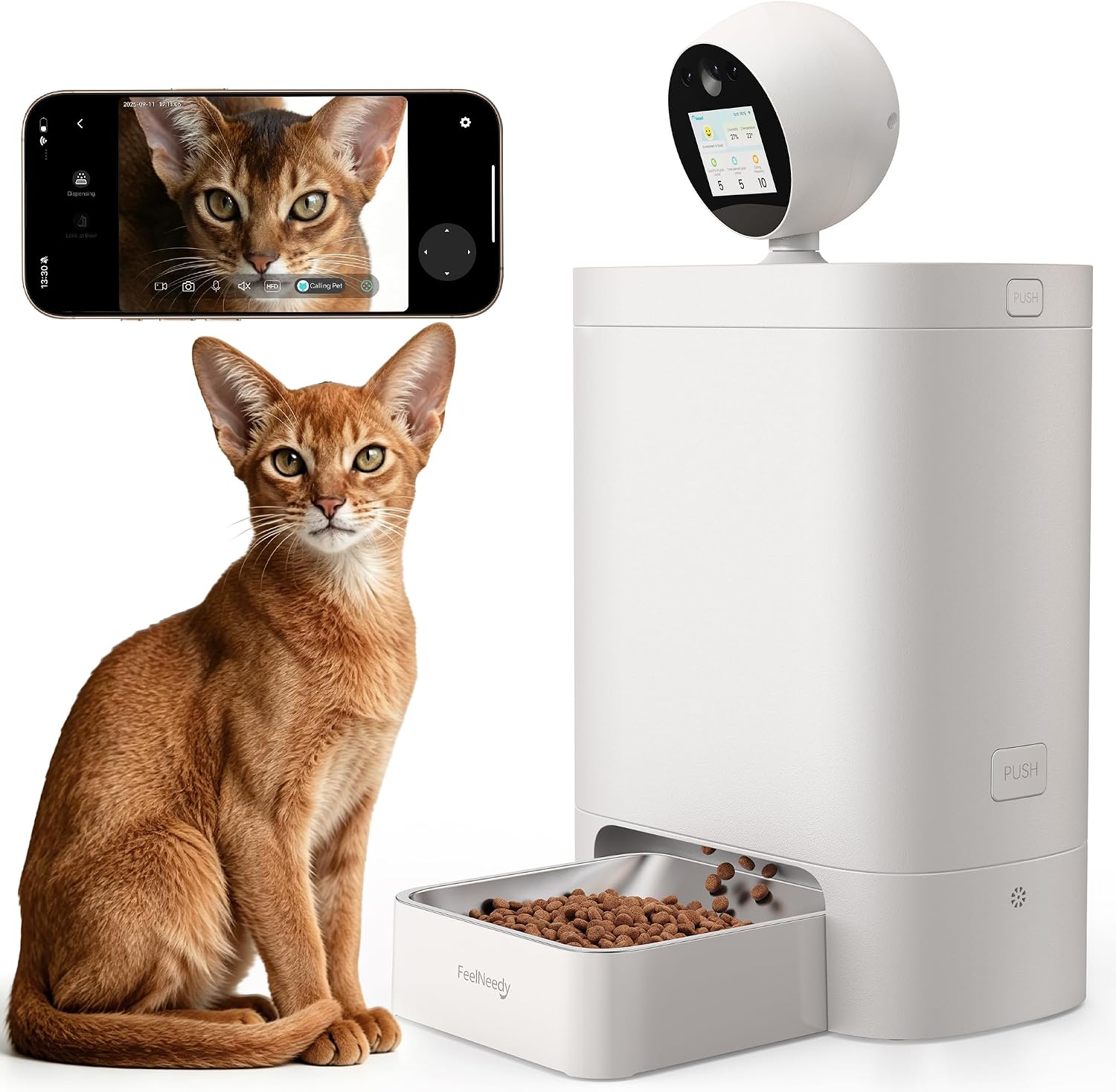 cat feeder