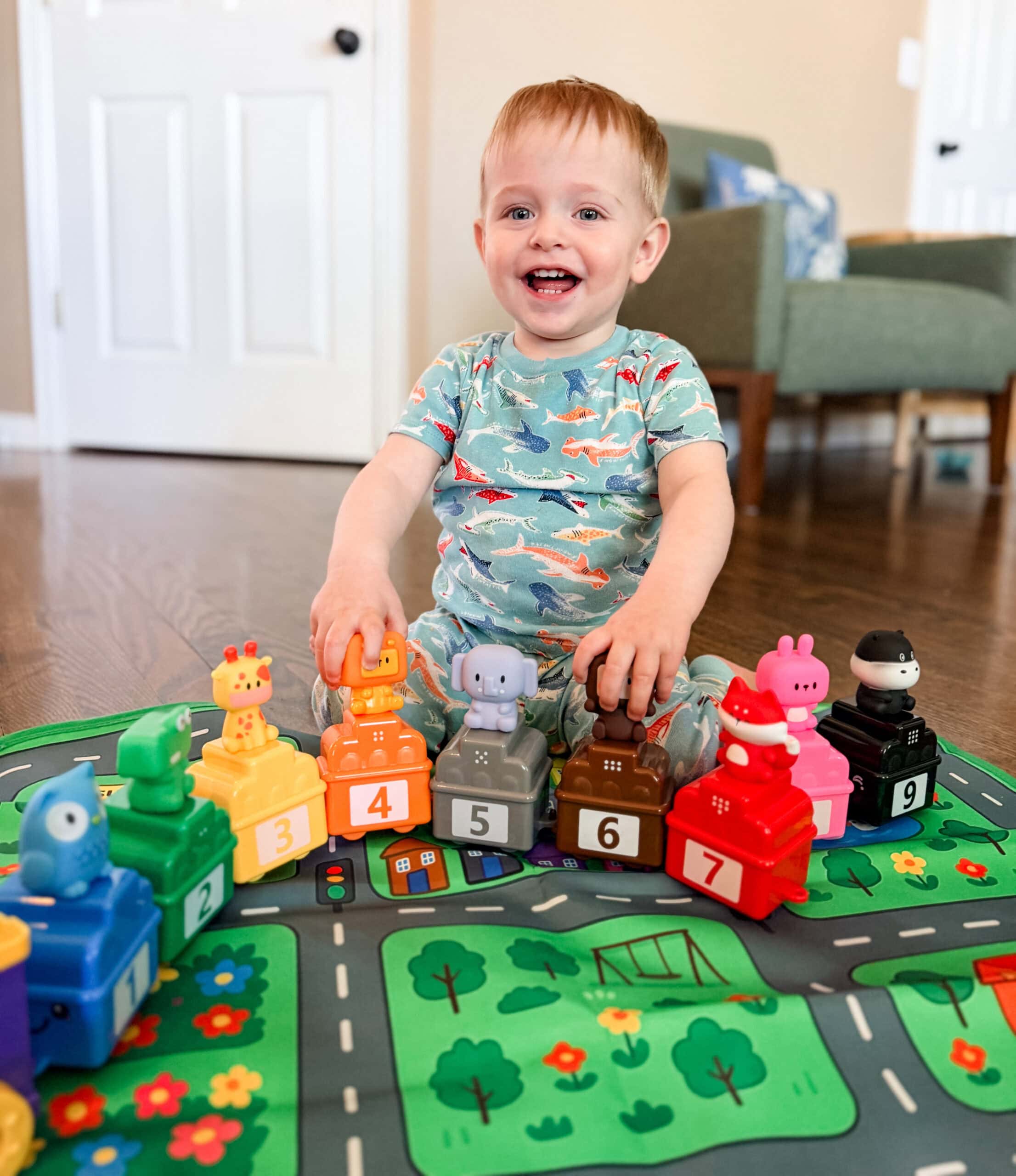 cute train set