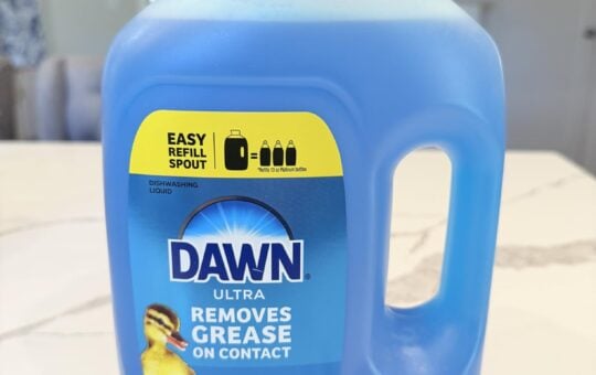 dawn jug