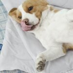 dog cooling blanket bedsure