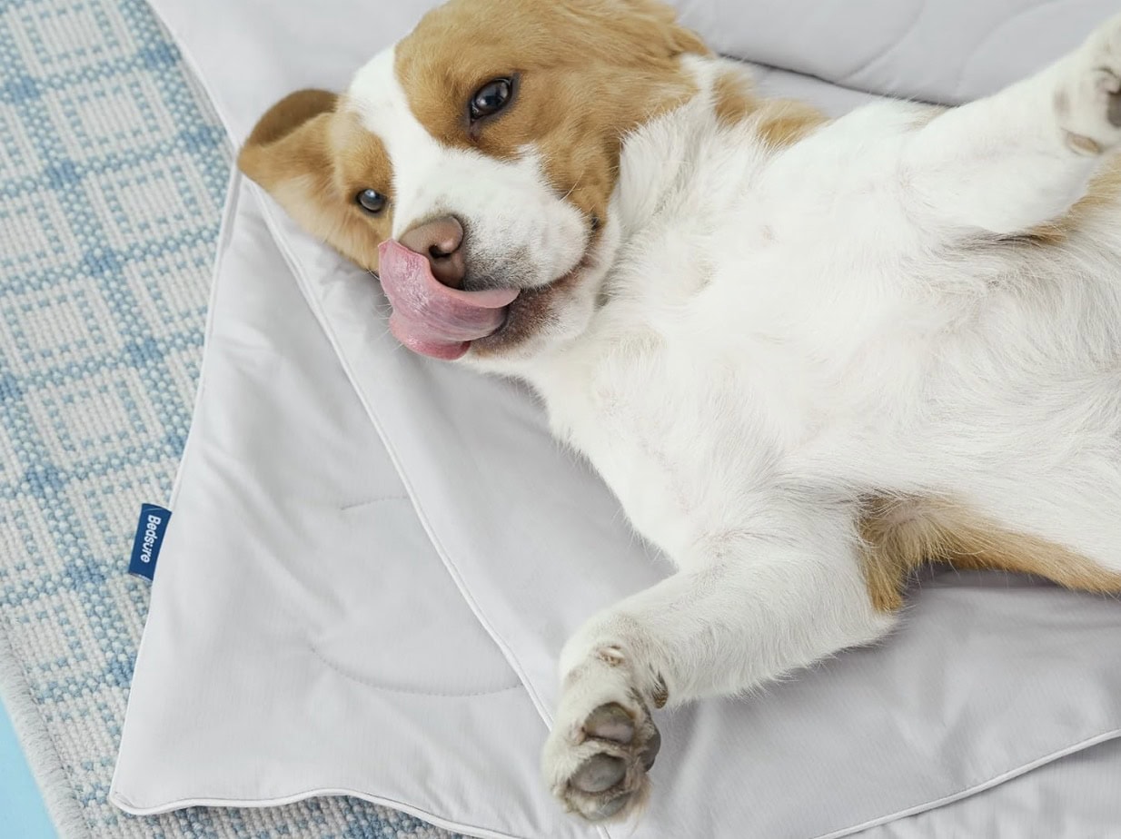 dog cooling blanket bedsure dog cooling blanket bedsure