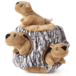 dog squeaky squirrels