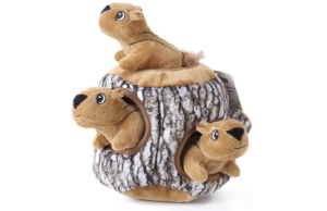 dog squeaky squirrels