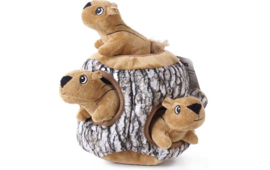 dog squeaky squirrels