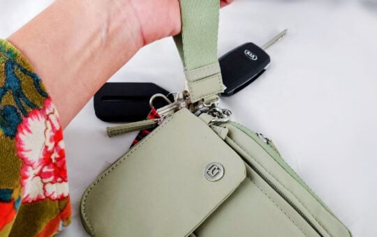 dual pouch wristlet