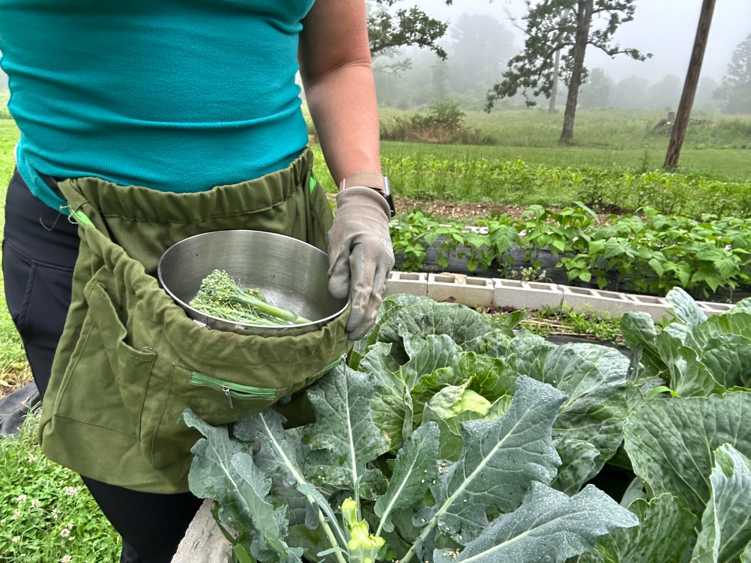 garden apron