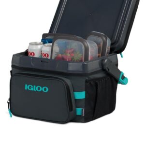 igloo hybrid cooler (3)