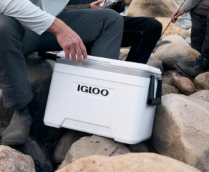 igloo marinecooler