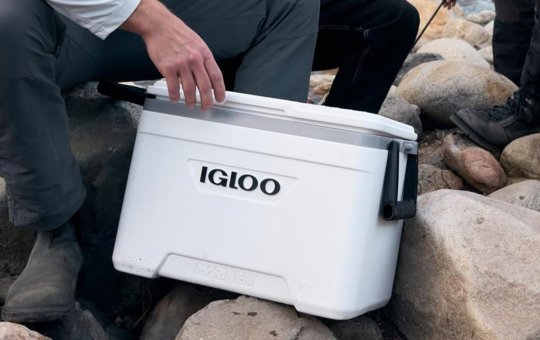 igloo marinecooler