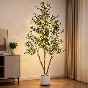 lighted olive tree