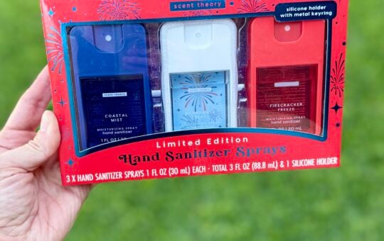scent theory sanitizers