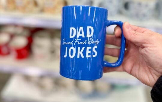 target dad jokes mug