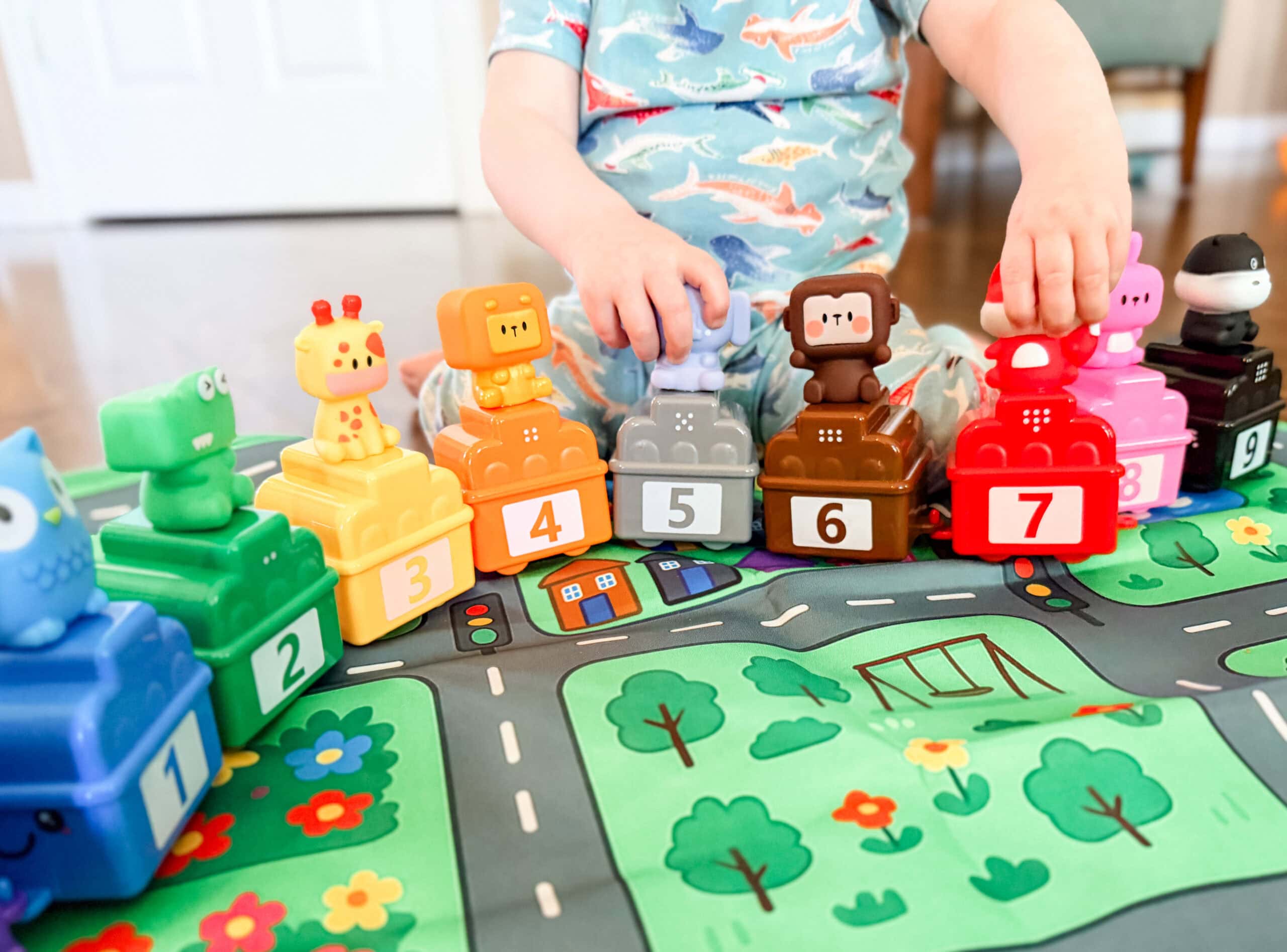 train set
