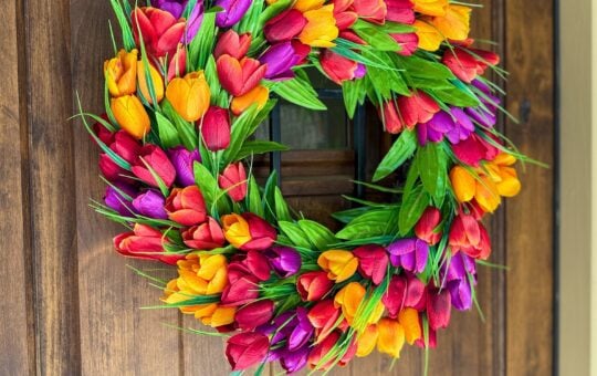 tulip wreath