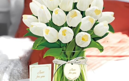 white tulip card