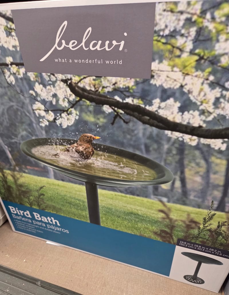 Bird Bath 2 Bird Bath 2