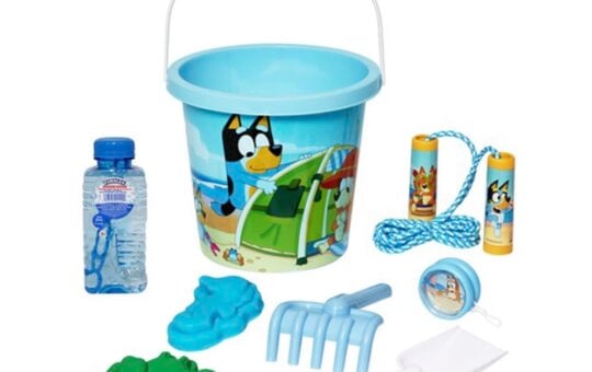 Bluey 7 Piece Beach Bucket Set