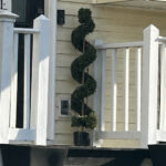 Bridgett Texas Topiary Walmart