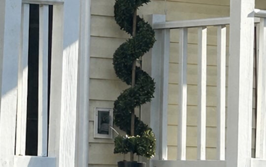 Bridgett Texas Topiary Walmart