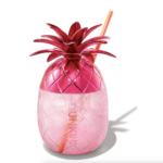 Dunkin Pineapple Cup
