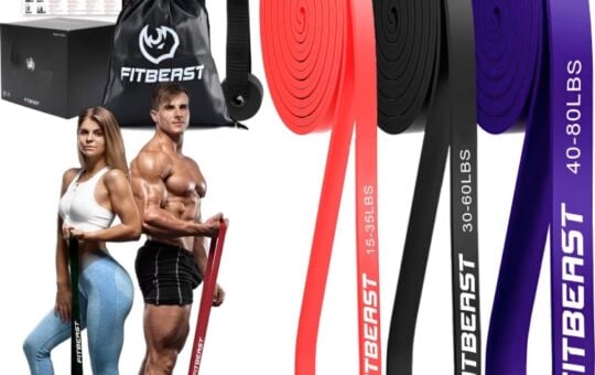 FitBeast Resistance Bands Set