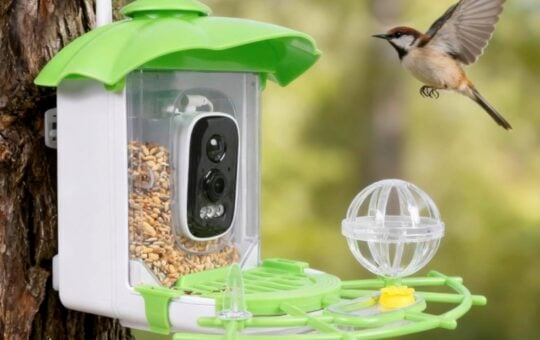 Kaixincz Bird Feeder with Camera