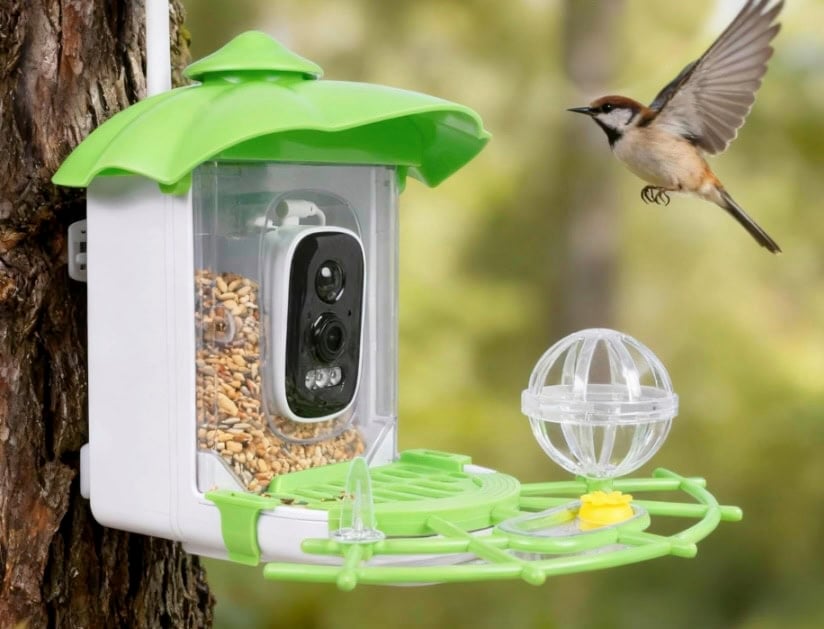 Kaixincz Bird Feeder with Camera