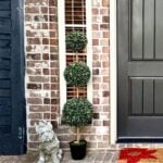 My Texas House boxwood (4)
