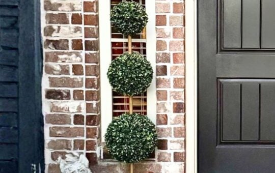 My Texas House boxwood (4)