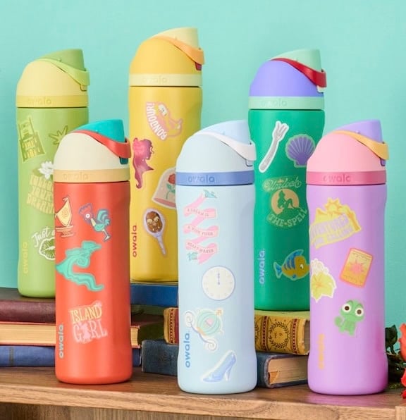 Owala Disney Princess FreeSip Insulated Stainless Steel Water Bottles
