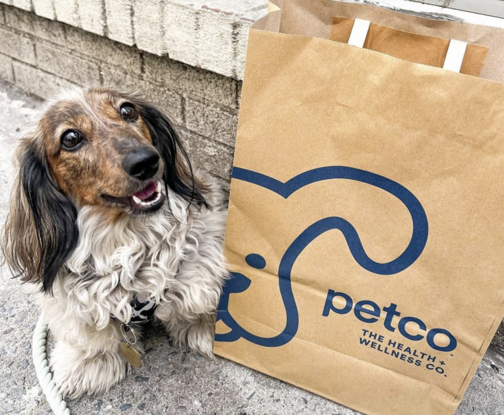 PetCo