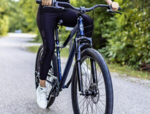 Schwinn Junction Hybrid Bike