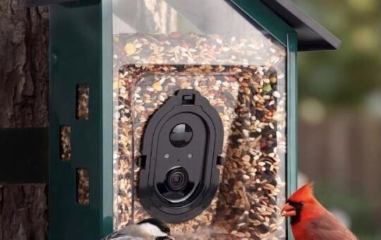 TT Nature Bird Feeder with Camera