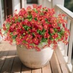 U'Artlines Artificial Flowers
