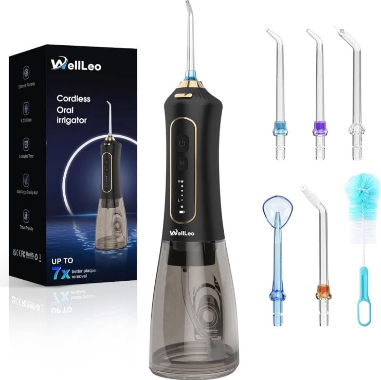 WellLeo Water Flosser