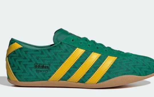 adidas shoe (14)