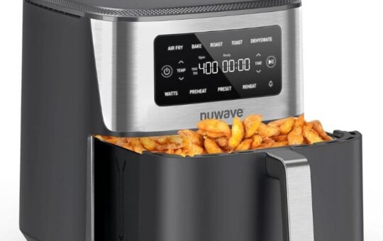 amazon nuwave air fryer (2)