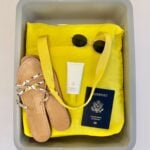 baggallini swift tote