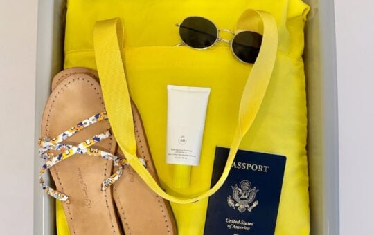 baggallini swift tote