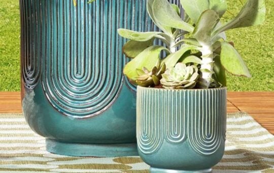 beautiful planter