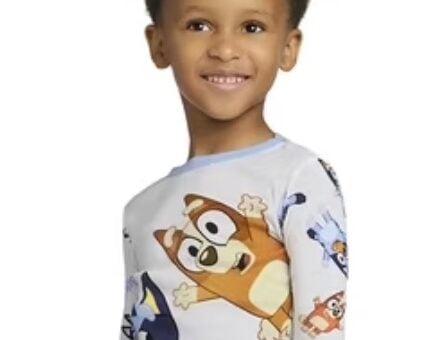 bluey 2 piece pajamas