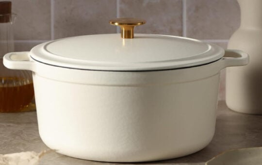 carote dutch oven 5