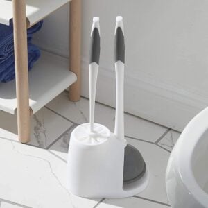 clorox toilet