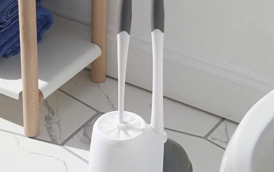 clorox toilet