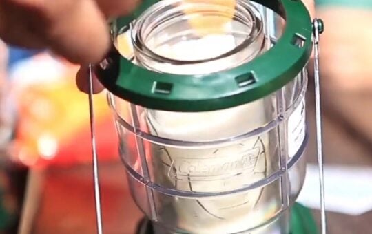 coleman lantern citronella