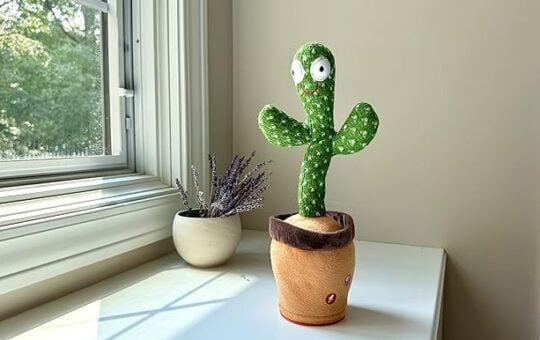 dancing cactus
