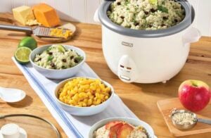 dash rice cooker