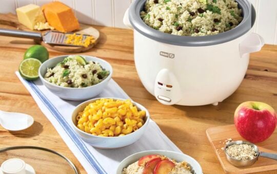 dash rice cooker