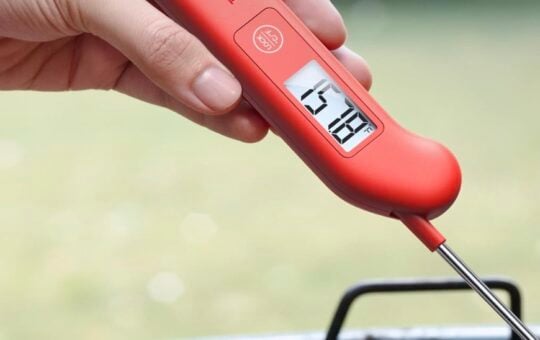digital meat thermometer